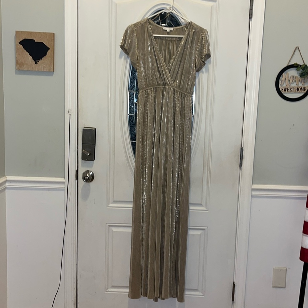 Beautiful Metallic Baltic Born Maxi dress